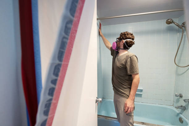 Best Mold Damage Restoration  in Bonny Doon, CA
