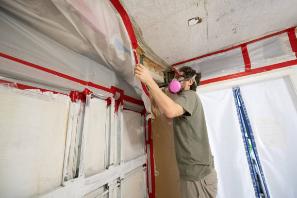 Best Industrial Mold Remediation  in Bonny Doon, CA