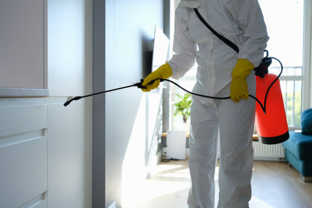 Bonny Doon, CA Mold Removal Company