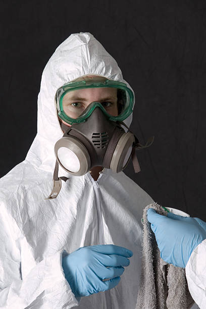 Best Residential Mold Inspection & Testing  in Bonny Doon, CA